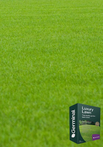 Germinal Luxury Lawn