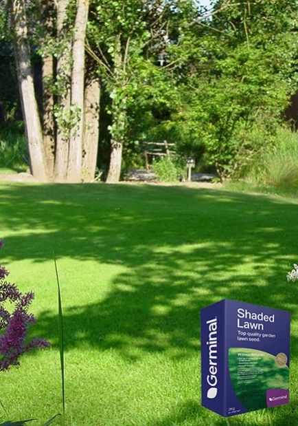Germinal Shaded Lawn